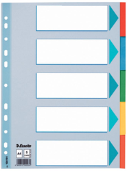 Tabbladen Esselte karton A4 23-gaats 5-tabs assorti