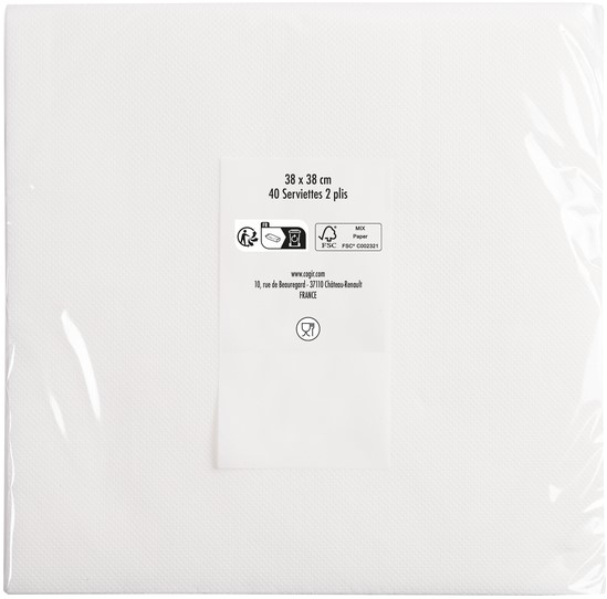 Servet Pronappe 1/4 vouw 2-laags 380x380mm 40 vel wit-2