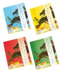 Cahier Executive pak à 25 stuk Commerciaal 4x7mm met voorlijn blauw (OP=OP)