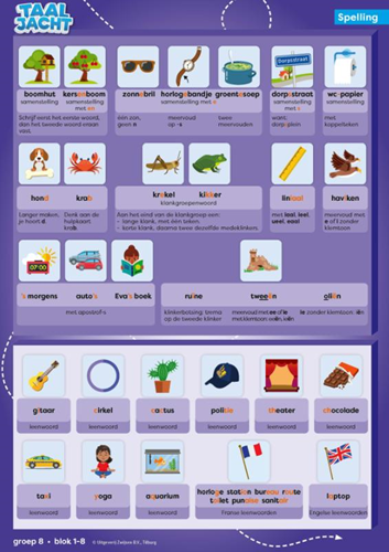 Taaljacht Spelling & grammatica groep 8 categoriekaarten & stappenplan