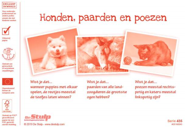 De ‘Perfecte huisdier’-quiz van De Sims 4 Honden en Katten! – Sims Nieuws