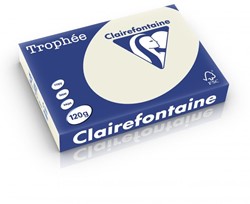 Kopieerpapier Trophee A4 120gr 1201 parelgrijs 250vel